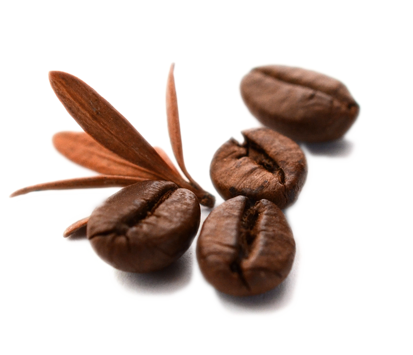 Loesch Caffee
